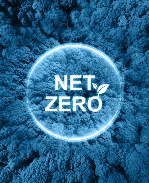 NET ZERO